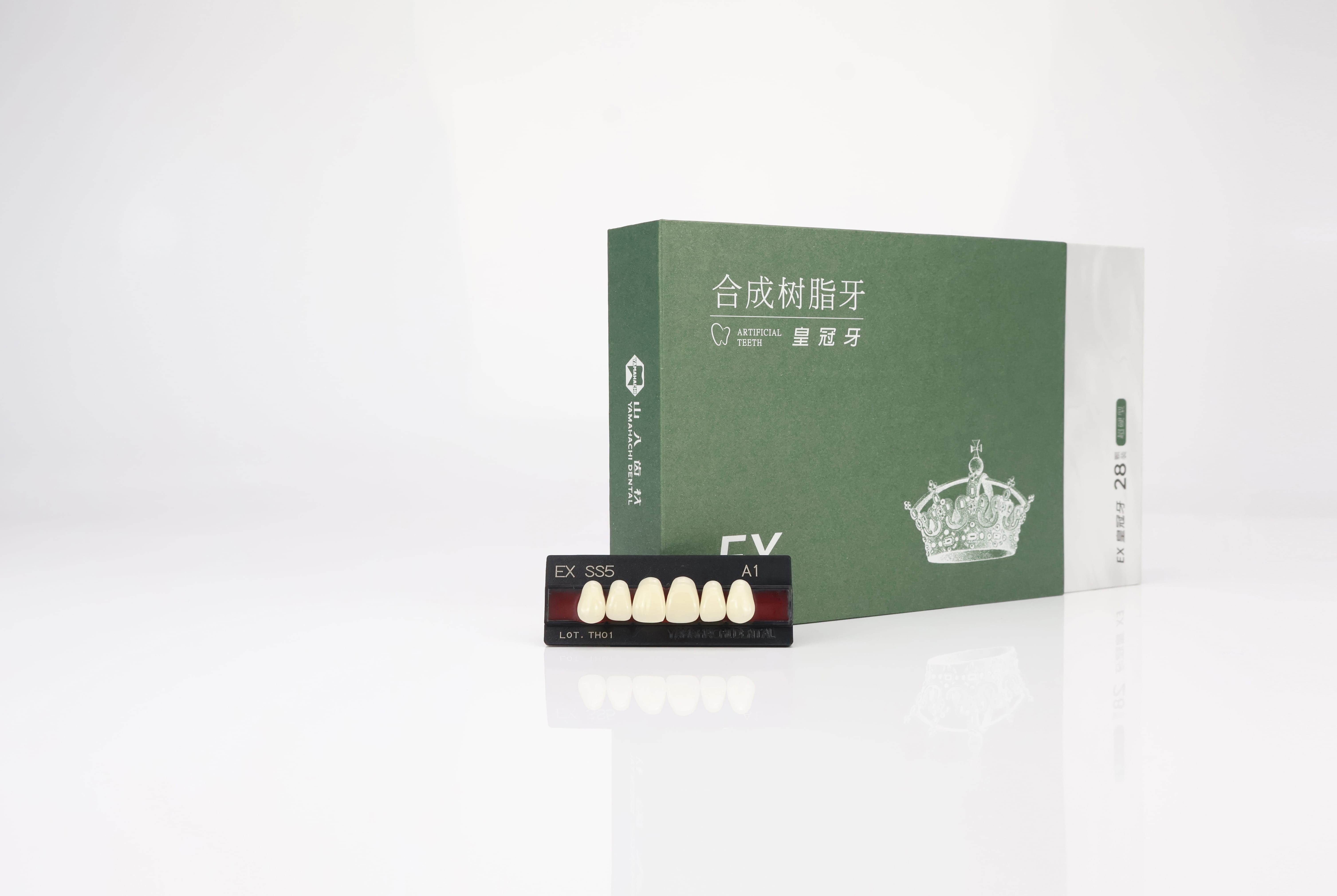 EX型 硬质合成树脂牙