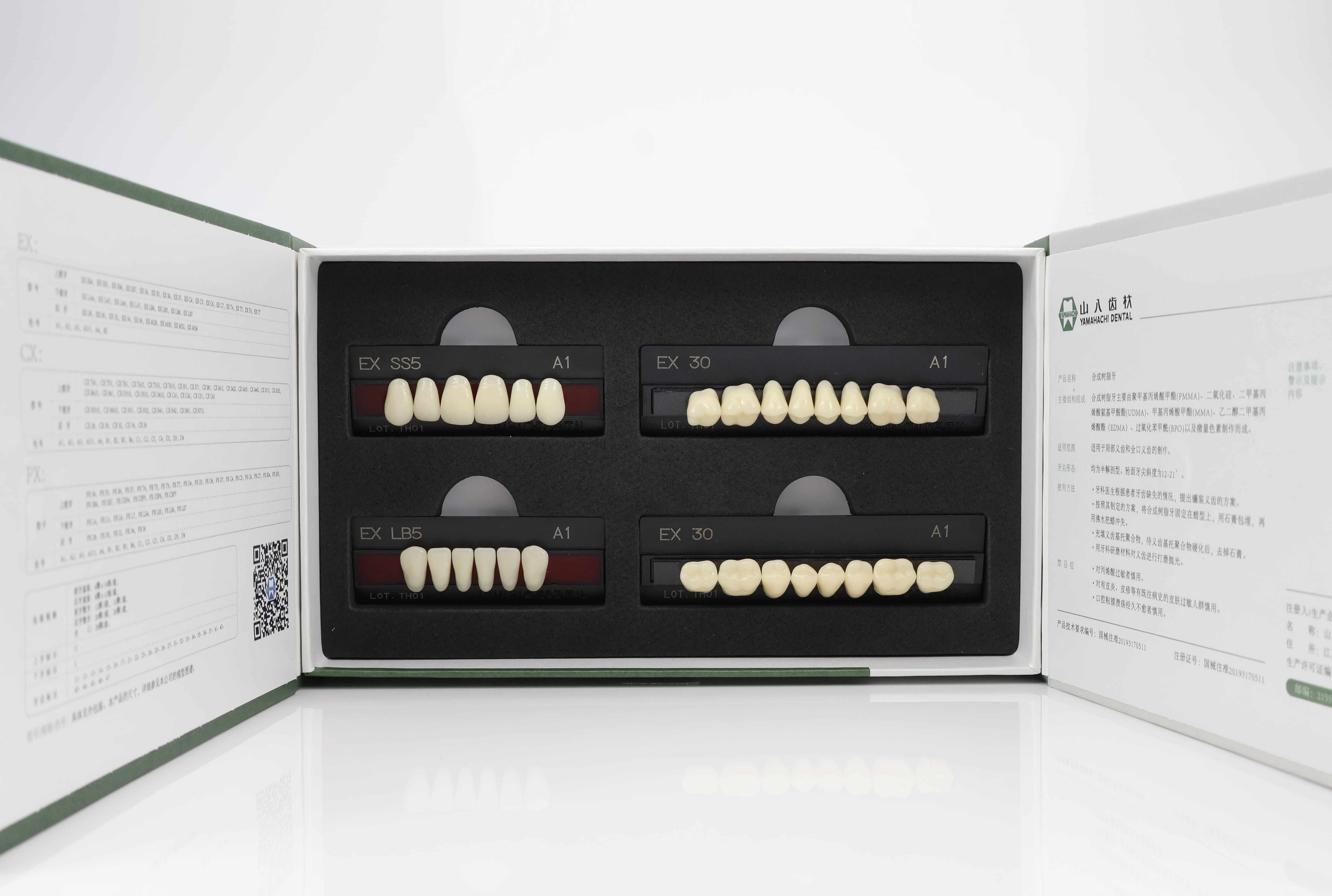 EX型 硬质合成树脂牙（侧面）